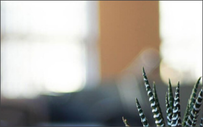 日本マンション販売　株式会社のWebサイトイメージ