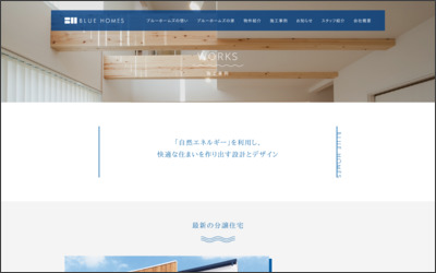 ブルーホームズ　株式会社のWebサイトイメージ