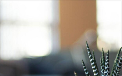 株式会社グッドライフのWebサイトイメージ