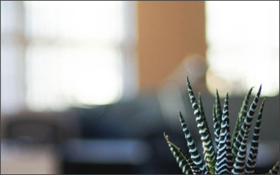 Webサイトのイメージ