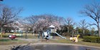 小菅東スポーツ公園（小菅東スポーツ公園テニスコート）／600ｍ