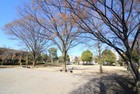 休日は五反野コミュニティ公園（500ｍ）で体を動かしリフレッシュできます♪緑の自然と都市機能が調和した街並み♪