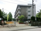 草加市立新栄小学校（320ｍ）