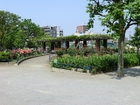 【渋江公園】