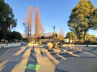 【元渕江公園】緑あふれる公園内には釣り池や遊具、足立生物園があり、自然や動植物と触れ合えます。公園内にはピクニックを楽しむ家族連れも多い。冬の時期に実施されるイルミネーションは足立区を代表する名物です