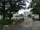 新曽北小学校　徒歩14分（1070ｍ）