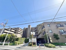 ベルドゥムール南柏