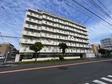 グリーンパーク花畑１