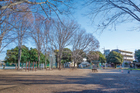 東大宮中央公園まで550ｍ