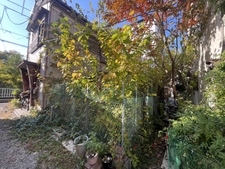 川口市大字前田　土地