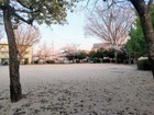南部第一公園(110ｍ)