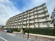 セザールお花茶屋