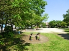 鷺高第二公園は、埼玉県越谷市東大沢3丁目にあるコンパクトな公園です。お子さんを連れて行くのにぴったりの広さで、遊具も充実しています。