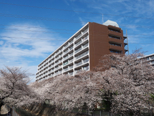 草加松原ハイツA棟