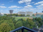 【バルコニーからの眺望】眼下に東綾瀬公園の緑地が広がる癒しロケーション！