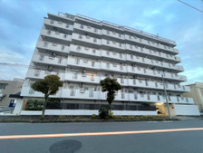 グリーンパーク花畑