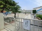 葛西小学校
