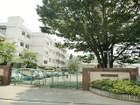 大門小学校/さいたま市緑区大門1189   校庭は、『野鳥の森』にある樹齢約１００年の２本のヒマラヤ杉をはじめ、桜やケヤキなどの多くの樹木に囲まれ、四季折々の花と緑でいっぱいです。