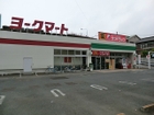 ヨークマート藤原店まで徒歩10分。