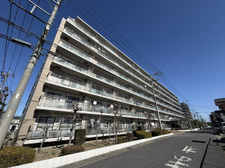 ベルドゥムール春日部東