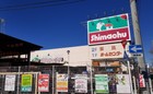 島忠ホームズ越谷店（500ｍ）