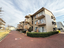 コンドミニアム初石