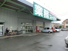 業務スーパー花野井店（1000ｍ）