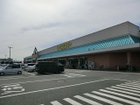 いなげや松伏店200ｍ：関東地方南部を中心に店舗を展開 するスーパーマーケット大手チェーン。イオン株式会社と業務提携をしている。