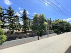 バルコニーからの眺望。草加松原の松並木、綾瀬川、まつばら綾瀬川公園が楽しめます。