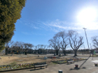 藁田島公園まで180ｍ