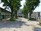 蕨市立中央小学校