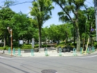 【金町公園】　公園の名前のわりには柴又駅の方が近いところにあります。街の公園にしては立派なプールや池などがあります