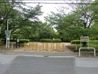 【新松戸中央公園】　松戸市の「新松戸市民センター」のすぐそばにある公園です。比較的大きな公園で、自然も多く、昆虫や植物なども生息しています