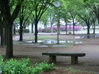 天王台西公園320ｍ
