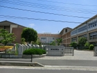 新和小学校