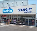 ウェルシア草加柳島店まで260ｍ