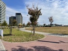 【浦和美園4丁目公園】210ｍ（徒歩3分）