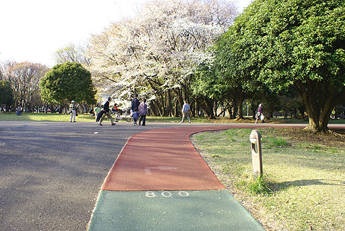 所沢空港記念公園　ランニングコース