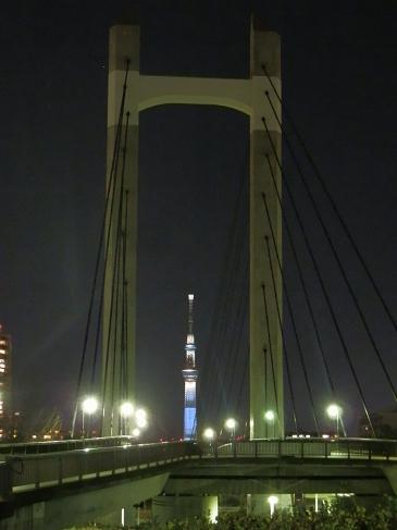 木場公園大橋からの夜景